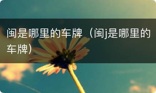 闽是哪里的车牌（闽j是哪里的车牌）