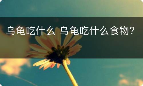 乌龟吃什么 乌龟吃什么食物?