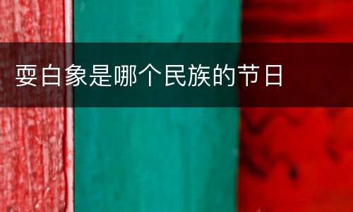 耍白象是哪个民族的节日