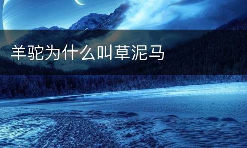 羊驼为什么叫草泥马