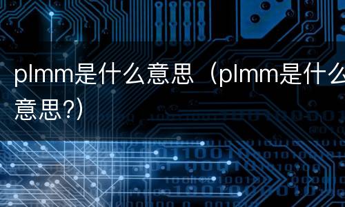 plmm是什么意思（plmm是什么意思?）