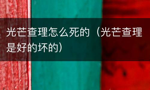 光芒查理怎么死的（光芒查理是好的坏的）