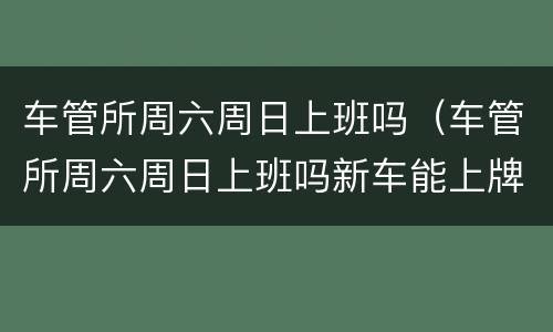车管所周六周日上班吗（车管所周六周日上班吗新车能上牌吗）