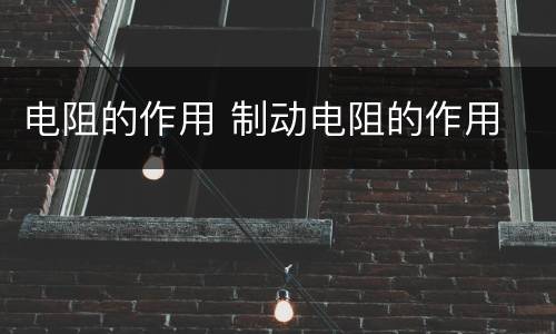 电阻的作用 制动电阻的作用