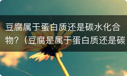 豆腐属于蛋白质还是碳水化合物?（豆腐是属于蛋白质还是碳水）
