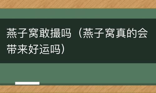 燕子窝敢撮吗（燕子窝真的会带来好运吗）