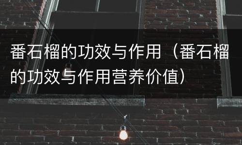 番石榴的功效与作用（番石榴的功效与作用营养价值）