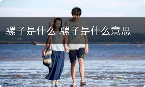 骡子是什么 骡子是什么意思
