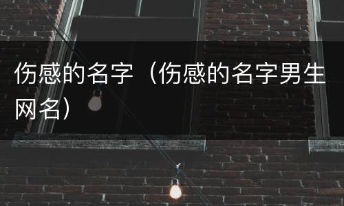 伤感的名字（伤感的名字男生网名）