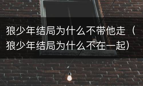 狼少年结局为什么不带他走（狼少年结局为什么不在一起）