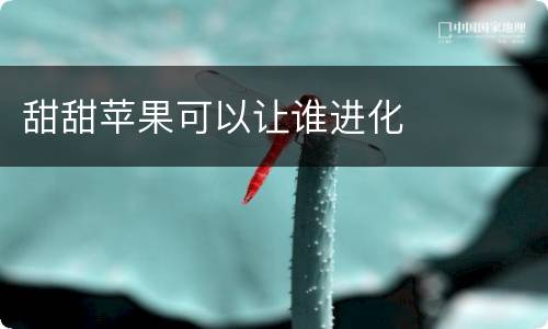 甜甜苹果可以让谁进化