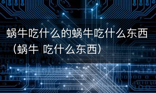 蜗牛吃什么的蜗牛吃什么东西（蜗牛 吃什么东西）