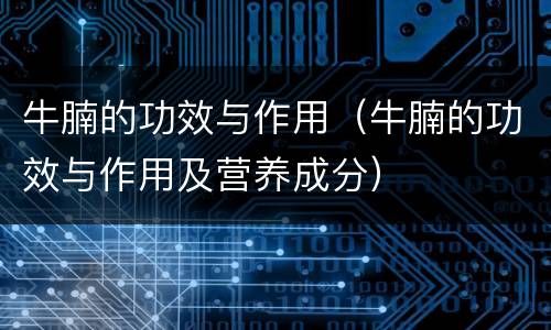 牛腩的功效与作用（牛腩的功效与作用及营养成分）