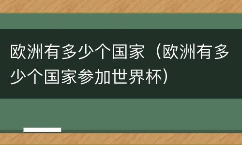 欧洲有多少个国家（欧洲有多少个国家参加世界杯）