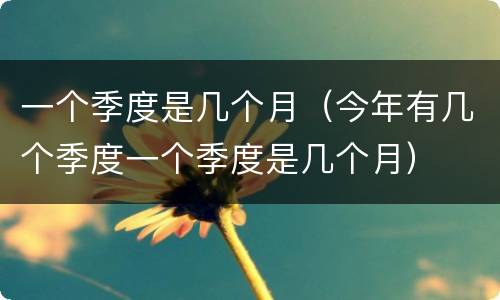 一个季度是几个月（今年有几个季度一个季度是几个月）