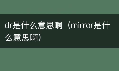 dr是什么意思啊（mirror是什么意思啊）