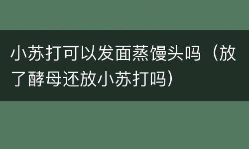 小苏打可以发面蒸馒头吗（放了酵母还放小苏打吗）
