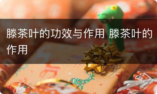 滕茶叶的功效与作用 滕茶叶的作用