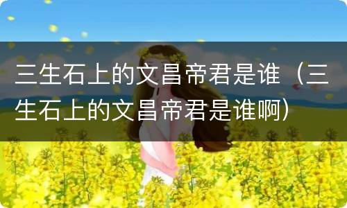 三生石上的文昌帝君是谁（三生石上的文昌帝君是谁啊）