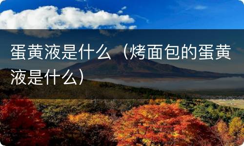 蛋黄液是什么（烤面包的蛋黄液是什么）