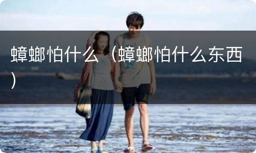 蟑螂怕什么（蟑螂怕什么东西）