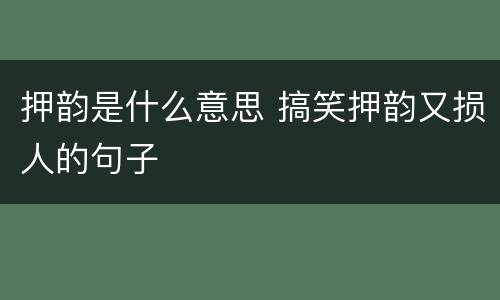 押韵是什么意思 搞笑押韵又损人的句子