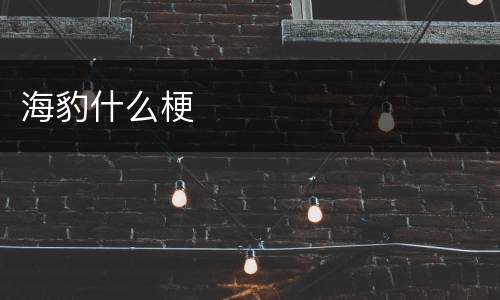 海豹什么梗