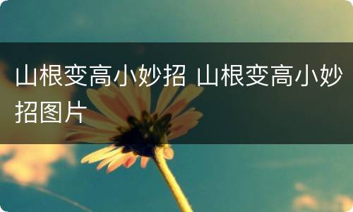 山根变高小妙招 山根变高小妙招图片