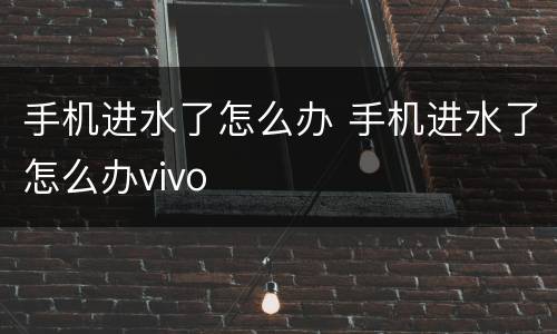 手机进水了怎么办 手机进水了怎么办vivo