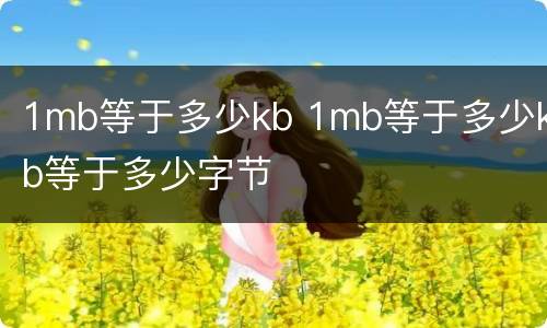 1mb等于多少kb 1mb等于多少kb等于多少字节