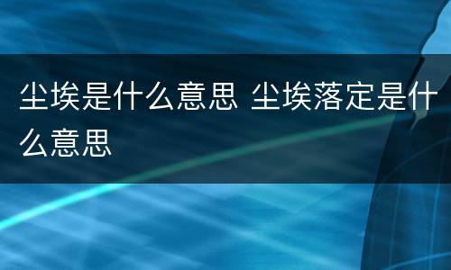 尘埃是什么意思 尘埃落定是什么意思