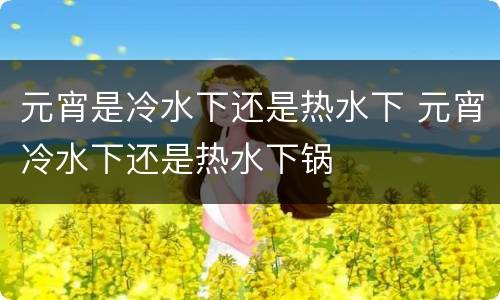 元宵是冷水下还是热水下 元宵冷水下还是热水下锅