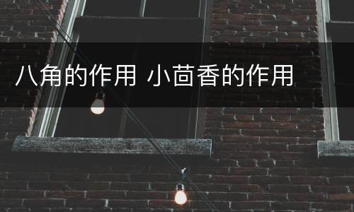 八角的作用 小茴香的作用