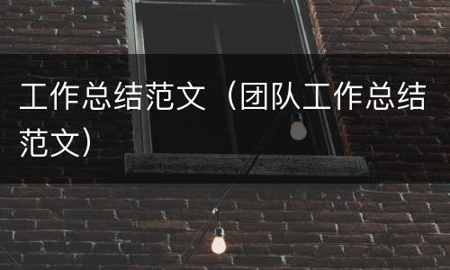 工作总结范文（团队工作总结范文）