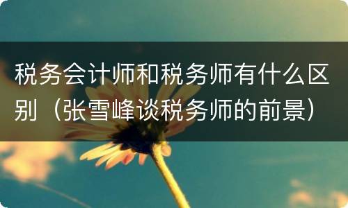 税务会计师和税务师有什么区别（张雪峰谈税务师的前景）