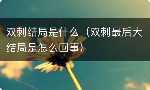 双刺结局是什么（双刺最后大结局是怎么回事）