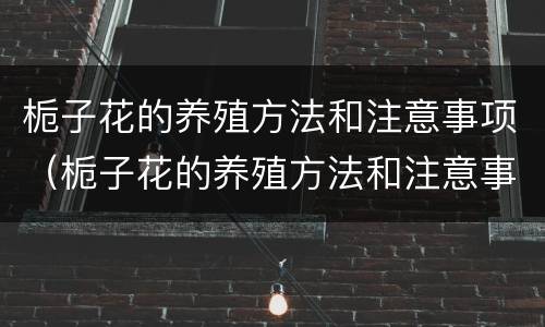 栀子花的养殖方法和注意事项（栀子花的养殖方法和注意事项 盆栽）