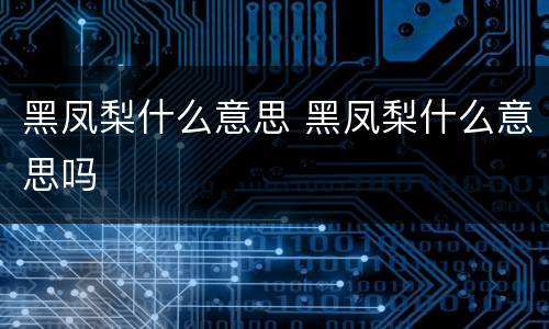 黑凤梨什么意思 黑凤梨什么意思吗