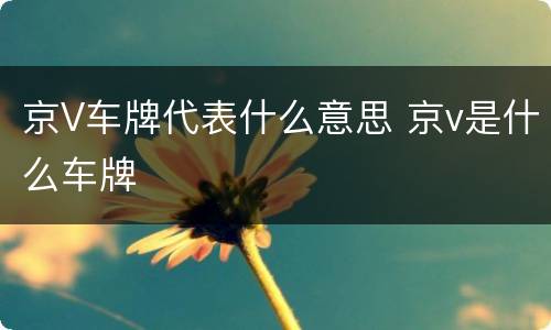 京V车牌代表什么意思 京v是什么车牌