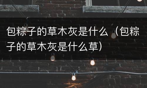 包粽子的草木灰是什么（包粽子的草木灰是什么草）