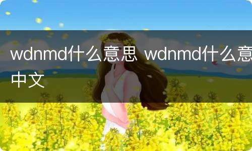 wdnmd什么意思 wdnmd什么意思中文