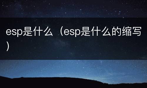 esp是什么（esp是什么的缩写）