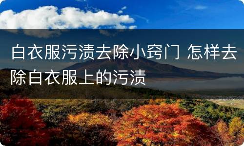 白衣服污渍去除小窍门 怎样去除白衣服上的污渍