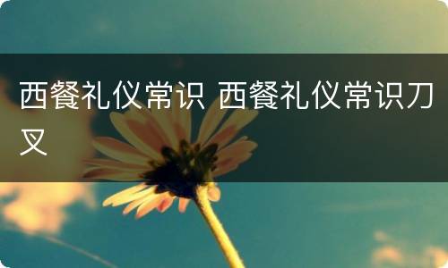 西餐礼仪常识 西餐礼仪常识刀叉