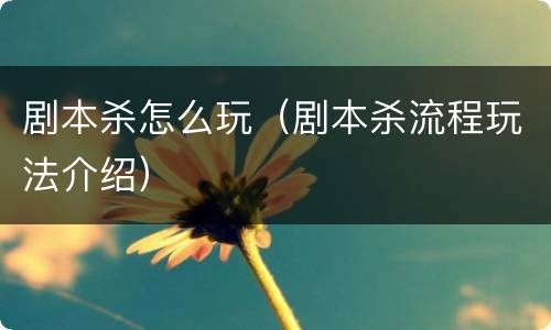 剧本杀怎么玩（剧本杀流程玩法介绍）