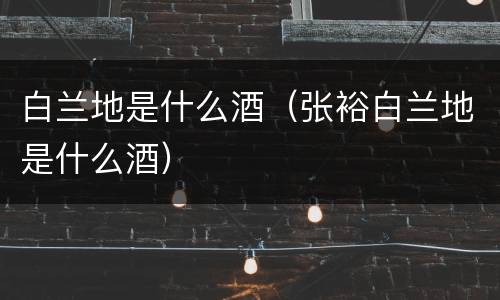 白兰地是什么酒（张裕白兰地是什么酒）