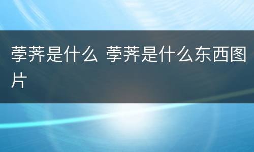 荸荠是什么 荸荠是什么东西图片