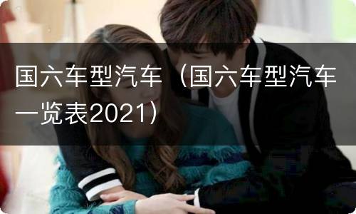 国六车型汽车（国六车型汽车一览表2021）
