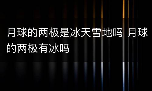 月球的两极是冰天雪地吗 月球的两极有冰吗