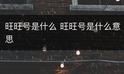 旺旺号是什么 旺旺号是什么意思